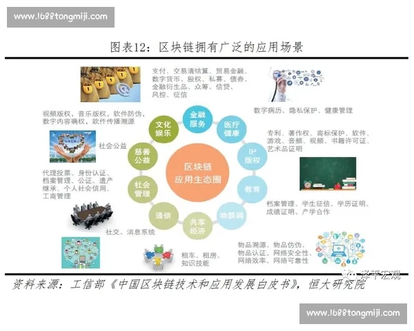 体育团队绩效提升策略与协作效率优化研究