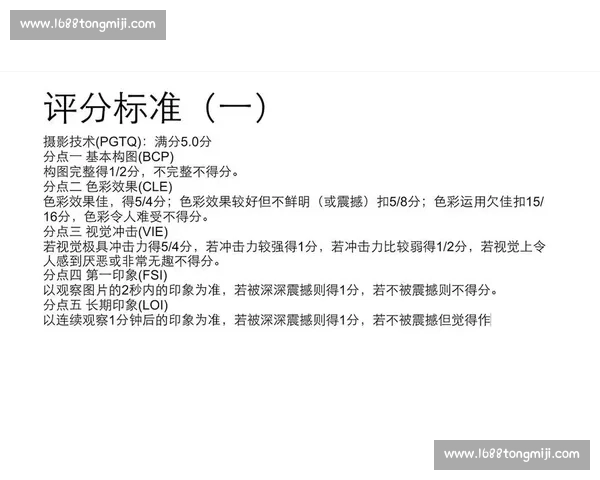 摄影比赛评分标准解析与优秀作品评选指南详细解读